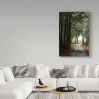 Zaštitni znak likovne umjetnosti' šumski put ' platnena Umjetnost Lancea Kuehnea