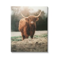 Stupell ruralna farma pašnjaka goveda i insekti Fotografija Galerija zamotana platna Print Wall Art