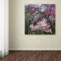Zaštitni znak likovne umjetnosti 'Mauve i ružičasti cvjetni drveće proljetnog' platna umjetnost Kurt Shaffer
