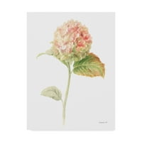 Zadržatnarna likovna umjetnost 'Floursack cvjetovi na bijelom V' platnu umjetnost Danhui Nai