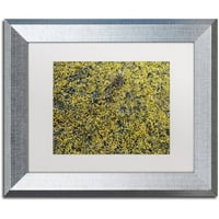 Zaštitni znak likovne umjetnosti morske alge umjetnost Nicole Dietz, bijeli mat, srebrni okvir