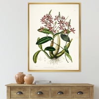 Drevni biljni život VII Umrišćeni slikarski platno Art Print