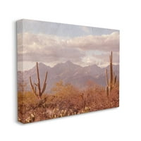 Stupell Industries izblijedjela Rustikalna pustinjska scena udaljene planine Cactus 30, dizajnirao Ramona