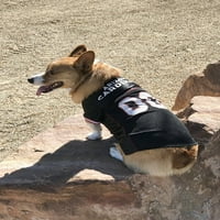 Pets First NFL Arizona Cardinals licencirani mrežasti dres za pse i mačke - veliki