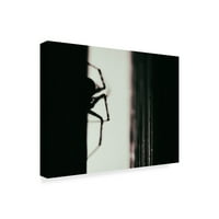 Zaštitni znak likovne umjetnosti 'Spider 3' platno Art Pixie Pics
