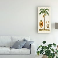 Zaštitni znak likovne umjetnosti 'Turpin Exotic Palms V' platno Art by Turpin