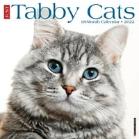 Willow Creek Press Just Tabby Cats Zidni Kalendar