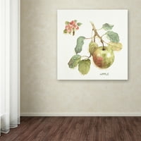 Zaštitni znak likovne umjetnosti 'Orchard Bloom I' Canvas Art Od Lisa Audit
