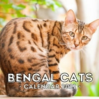 Bengalske mačke: Zidni kalendar, simpatična ideja za poklon za ljubitelje bengala ili vlasnika muškaraca