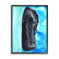 Stupell Industries stidljivi portret psa Labradora živopisni plavi crni okvir, 20, dizajn George Dyachenko