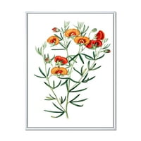 Drevna američka Flora VIII uokvirena slikarsko platno Art Print