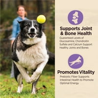 Wellness jezgro digestivnog zdravlja stariji suva hrana za pse sa žitaricama, torba za funtu, starosna