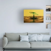 Gordon Semmens 'Liqiud Splash 01' Canvas Art
