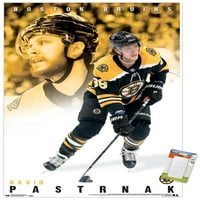 Boston Bruins - David Pastrnák zidni poster, 22.375 34