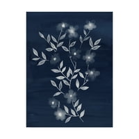 Zaštitni znak fine umjetnosti cvijet cyanotip i platnena umjetnost gracioznim popp-om