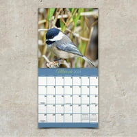 Dvorište ptice Mini 7x7 kalendar