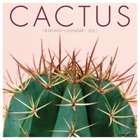 Willow Creek Press Cactus Zidni Kalendar