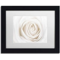 Zaštitni znak likovne umjetnosti bijela ruža umjetnost cora niele, bijeli mat, crni okvir