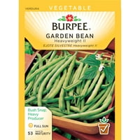 Burpee-Bean, teška II paket sjemena