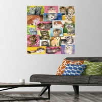 Keith Kimberlin - Kittens Collage zidni poster, 22.375 34