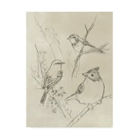 Zaštitni znak likovne umjetnosti 'Vintage skica ptica pjevica i' umjetnost na platnu do juna Erica Vess