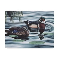 Zaštitni znak likovne umjetnosti' patke i Ljiljani ' platnena Umjetnost Rusty Frentner