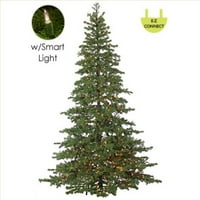 6,5 'slojeviti borov trenutni tehnologija za jednokratna božićna stablo - bistra svjetla