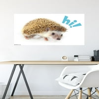 Trends International Hedgehog - Hi Plaster