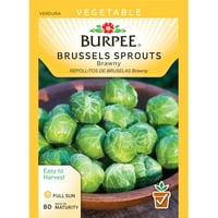 Burpee-Bruxelles klice, paket sjemena brava