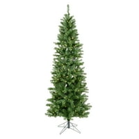Vickerman 5,5 'Salem olovka Pine umjetno božićno drvce, topla bijela LED svjetla Dura