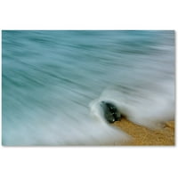 Zaštitni znak likovne umjetnosti 'Whelk Seashell i Misty Wave' Canvas Art by Pipa Fine Art