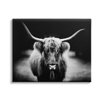 Stupell Industries Bold Longhorn portret crno-bijela fotografija goveda, 36,dizajn phburchett