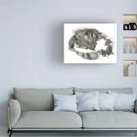 Elena Bolgova 'Sleep Cat' Canvas Art